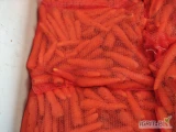 Młoda Polska Marchew dorośnieta, bardzo ładny towar. Pakowane w worek raszlowy szyty  po 10 kg. Ilości paletowe i całosamochodowe. 