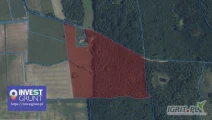 [41,83 ha] przetarg nieograniczony na bezterminową dzierżawę gruntów rolnych [powiat braniewski, woj. warmińsko-mazurskie] użytek...