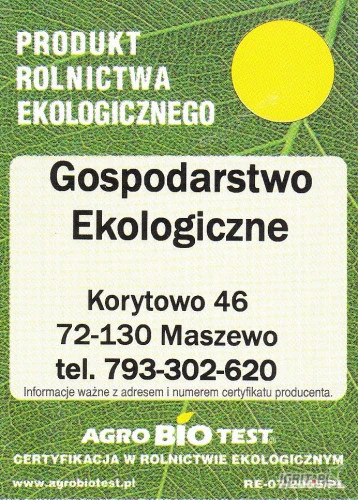 /images/posts/2025/01/1963294/wX3JSIzeVpp9qdeP0zLC2G0eHwHDhum9sHM8JMAH.jpeg