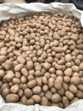 Sprzedam ziemniak 30-50 odmiana Lyly. Rok po centrali. Pozostałość po sadzeniu. Ok 1300 kg 
