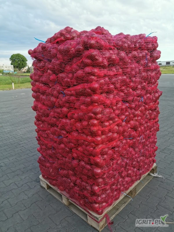 /images/posts/2025/05/2014266/kBBSWmdPo9crTGTJk76IdAKytC2N1jNAVPK64zU3.jpeg