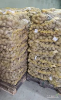 Sprzedam ziemniaki odmiana Lilly kal. 45+, Luzem lub pakowane w worki 15 kg, ilości tirowe.