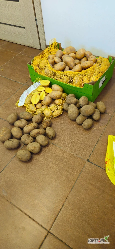 /images/posts/2025/05/2014306/VkDaeLIzeB6VWAF5fby1zUTHTc5nLJ4pZvwSQZM5.jpeg