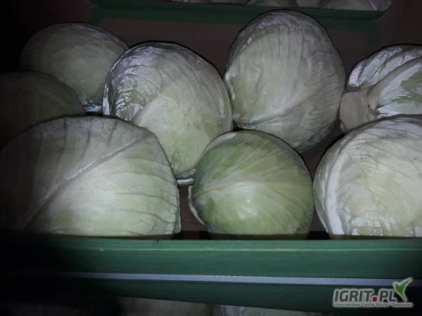 /images/posts/2025/05/2014383/r5ZbRq1IleUJ89OeM5YYAPPbvKdilahpavi1Q4s7.jpeg