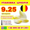 РОБОТА ДЛЯ УКРАЇНЦІВ В БЕЛЬГІЇ
