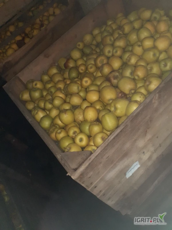 /images/posts/2025/05/2014429/KBBhFR2LHJv8xDuqJjX7aMzPPhyA2HziGQKpKcwa.jpeg