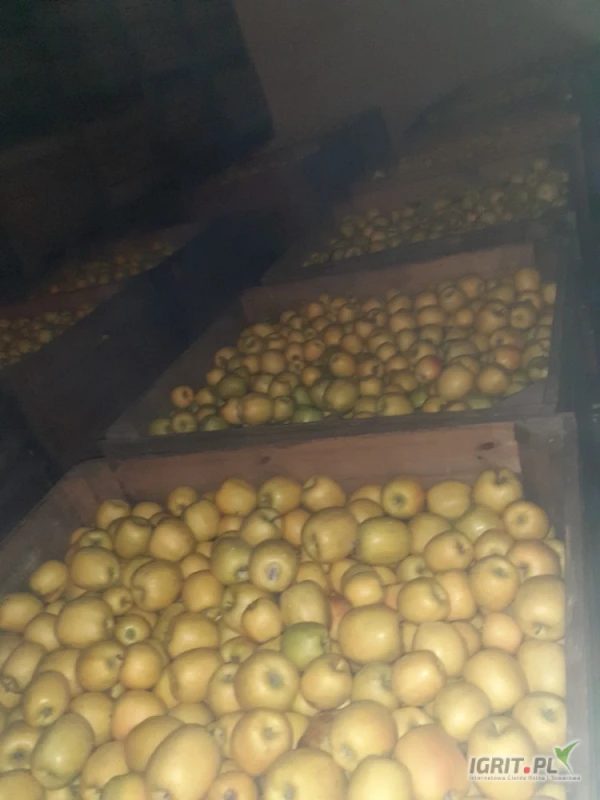 /images/posts/2025/05/2014429/cOgA0ThDGlwJQWD9o035KOgqNm8DbvIuUtGqJhIJ.jpeg
