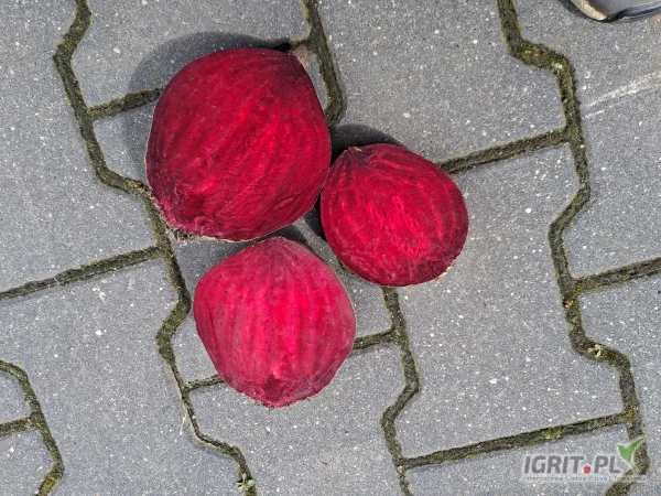 /images/posts/2025/05/2014551/joebZMMIs5mrZmzRSkf9vbLeuMTXeWL1FFlCpYig.jpeg