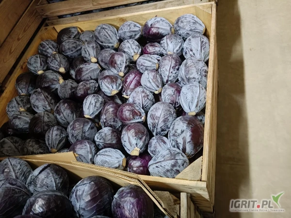 /images/posts/2025/03/1992736/LU05w37eaJNuoXt1zwqhPUfDxG6M81MEmZdF7N3i.jpeg
