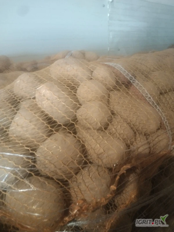 /images/posts/2025/02/1979072/tOOOqdrIp4580ftVlgWbtFm1Eiq2dKyNdY1Z48HH.jpeg