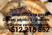 Kupię rzepak również zanieczyszczony gorszej jakosci szybki odbiór i płatność po załadunku 
