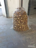 Sprzedam ziemniaki drobne młode (lulka) . Ilość ok. 500 kg. Odmiana Riviera. Więcej informacji pod numerem telefonu 603775011