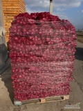 Sprzedam cebule czerwona polska w workach 5 lub 10kg, mogę zrobić ilości tirowe lokalizacja Mazowieckie 4km od zjazdu z A2/ 40min drogi...