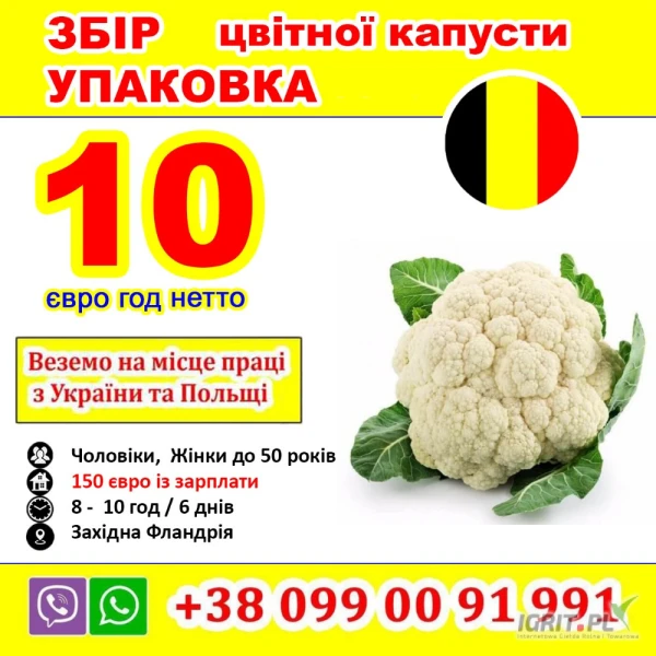 /images/posts/2025/04/2003968/sM2gLkDo08WNHbLcqWENGUmylw7DWis9K5gFNI2r.jpeg