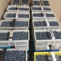 Witam, posiadam na sprzedaż owoce borówki amerykańskiej odmiany Duke oraz Earlyblue. Odbiór możliwy 26.06.2024 w godzinach...