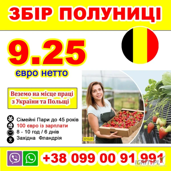 /images/posts/2025/04/2003969/HxJedQhhNGTzQyoquSnGrImXw6m1nW0ope5FDPhV.jpeg