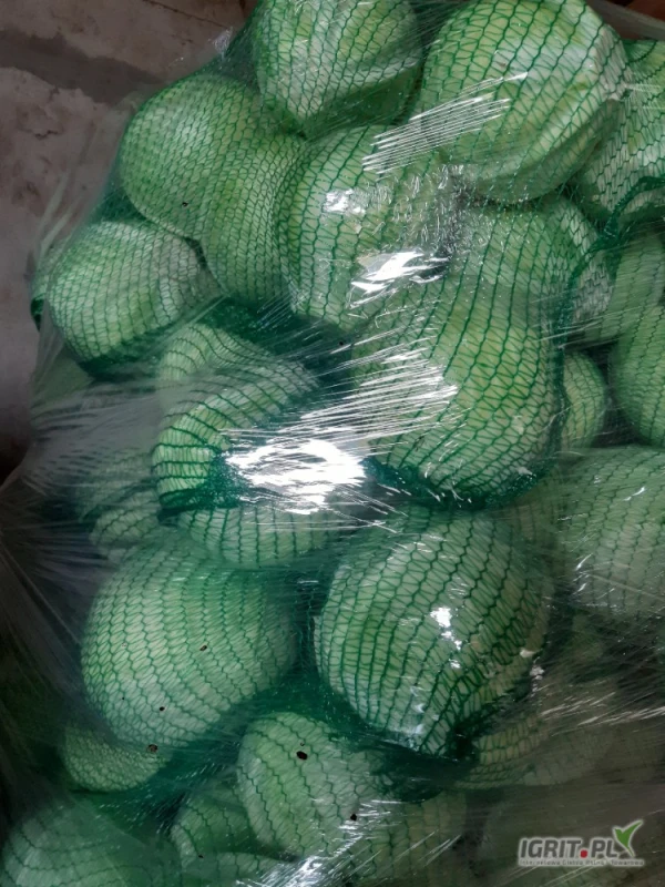 /images/posts/2025/04/2000618/PzXeerTqcCqTyEUjdQG5ykc68nOr7CH3Bv5kWmAB.jpeg