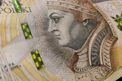 Ruszają dopłaty do materiału siewnego