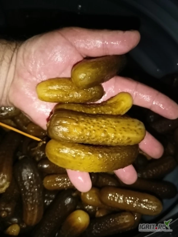/images/posts/2025/05/2014735/7TjypTK4P4Za14EHBArnhtKleDlVCbccBy2GMhgR.jpeg