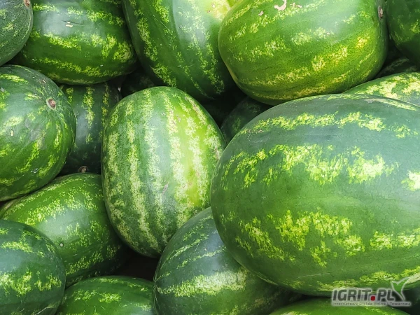 /images/posts/2025/05/2014768/CRzSMl7C40B6ivNur6S2Lw8uORnmix6VXXXpPR62.jpeg