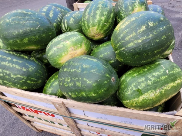 /images/posts/2025/05/2014768/ub3WBprHHtlXW3X71yCZGJwHG79SvT9f5zcyj4h8.jpeg