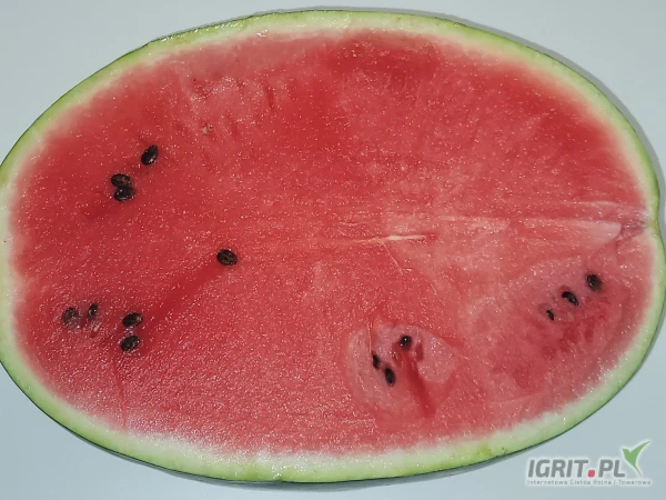 /images/posts/2025/05/2014768/lVg4Tlw5JrWFzt38dtsnCPxFygQB4r38wQcleVBz.jpeg