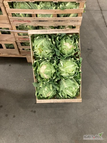 /images/posts/2025/02/1978655/sYp4hvSJOrHJ1fuz6RZxnmpXDObFy7VLt5dpERqo.jpeg