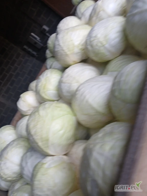 /images/posts/2025/04/2004258/PabbvHBX8KeGJAVc3rxQDc6z9bQ6aQ2icYavkfsA.jpeg