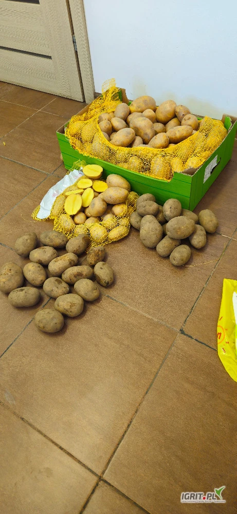 /images/posts/2025/05/2014849/jfbGHATKYBFkyolAk3G3t4wO3CQkOwylaEjPwBGZ.jpeg