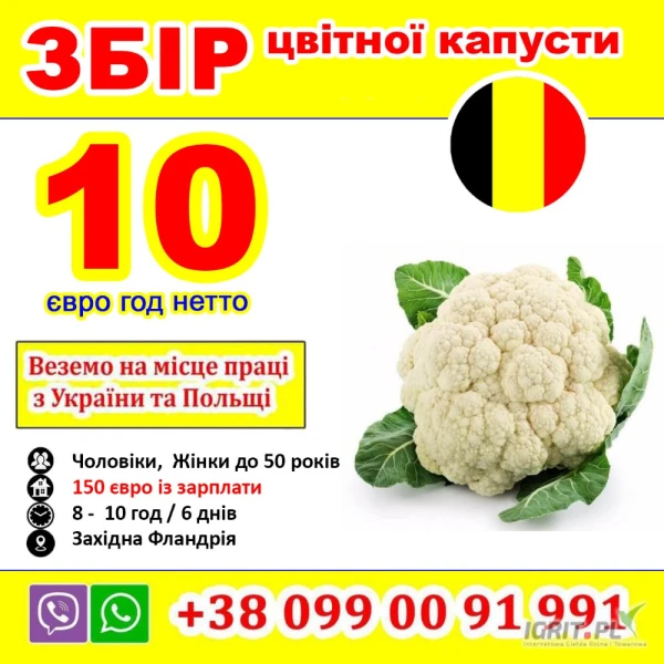 /images/posts/2025/04/2002725/ict9O9OHXTVT8ERLDhgml8Mv4YExp1vnviyXfFQm.jpeg