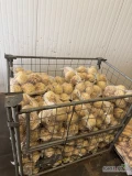 Witam sprzedam seler na brudno , ilość około 30ton 
