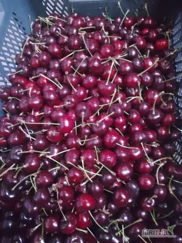 /images/posts/2024/07/1886388/uDL4g4VKKXPpQuKWRKeLd4vfqtMj9C2XC03soPt1.jpeg