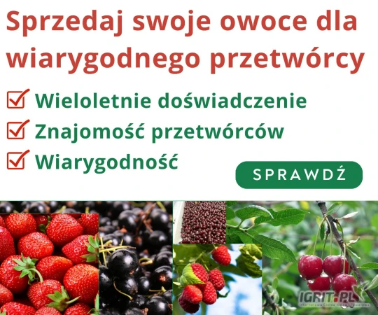 /images/posts/2025/05/2015093/wy8z9o2R67d6t4N67rqZIKxHfse9RrtcvYEEOmwZ.jpeg