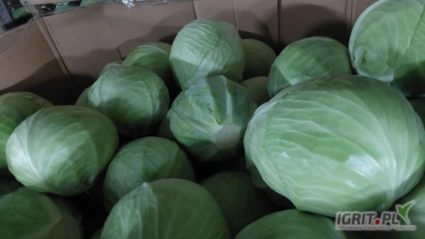 /images/posts/2024/01/1804671/1l99EJTuHDHRWCUwzGt92hG2FuPItV9ZubcfNP0a.jpeg