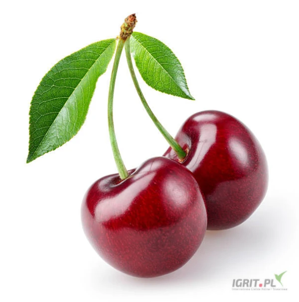 /images/posts/2025/05/2015148/Gjkx3ijN2uGLExtvUgqlnKdAaQ0RHyUjkfcCVEmp.jpeg