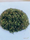 Mięta pieprzowa liść ok 6000kg