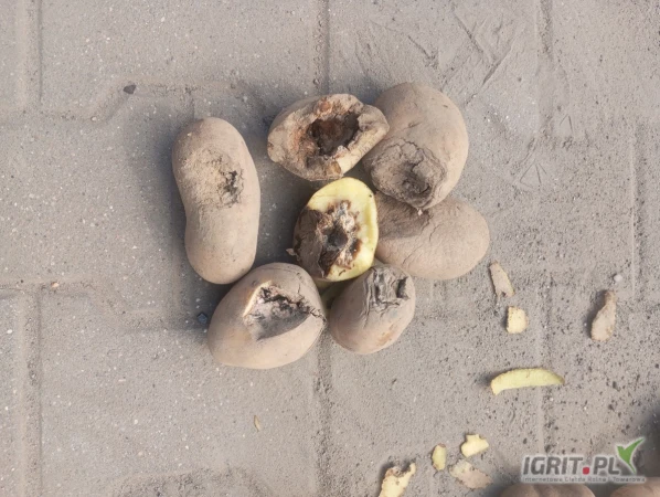 /images/posts/2025/05/2015154/isWSS3x6ht08tNE7EJg9TylhFa6Migy5dt8aTdFu.jpeg