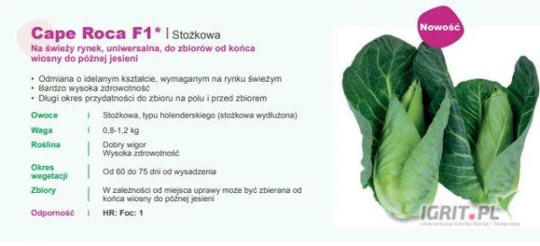 /images/posts/2025/01/1961417/cAmvVyGSmxI406Z0iS5TYpGJZ6fygoirVkK6rOSo.jpeg