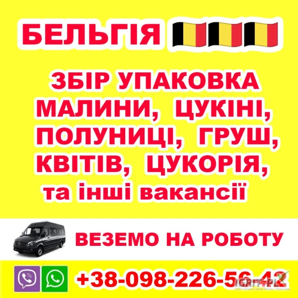 /images/posts/2025/04/2004509/FiCK07XZbHPwbA1X3kVJ0m8wybWL0m8SNUl0Rrp8.jpeg