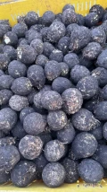 Sprzedam seler 400-1000 gram czysty po umyciu zdrowy pakowany kwestia uzgodnienia 