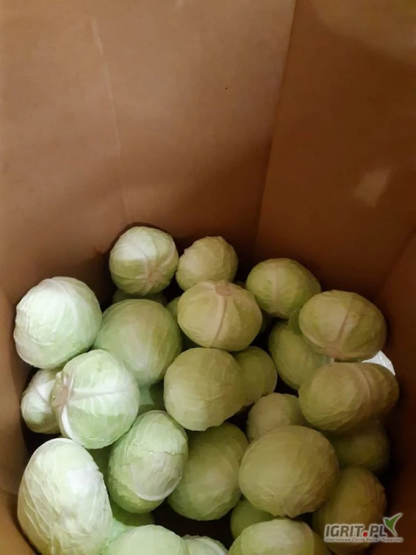 /images/posts/2024/07/1880923/VI5h9895oYfKTiyTQZTxUR20OHjFtKqtlMU3OR6H.jpeg