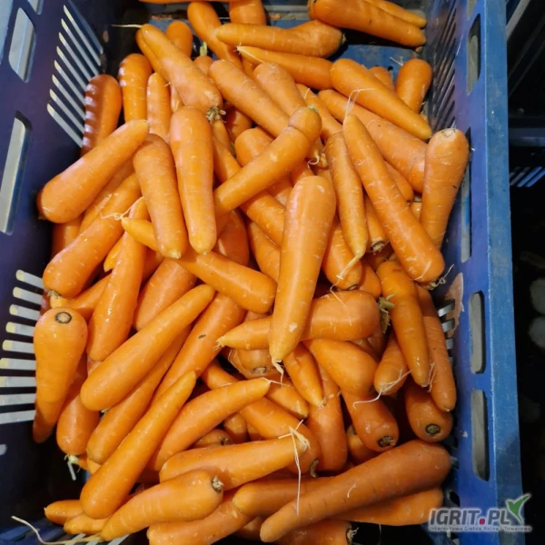 /images/posts/2025/05/2015394/ieVGuMIxgJKJBj7YSe8Bt7kX36DWINWrXe2on8RN.jpeg