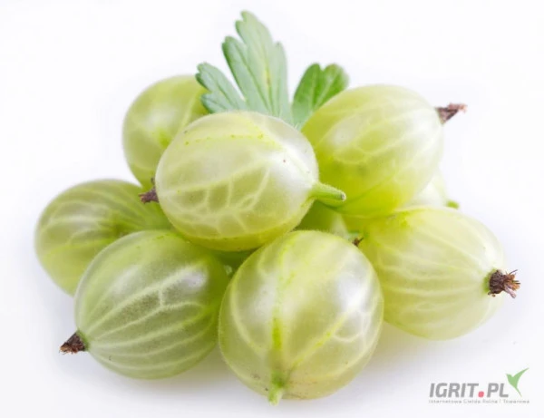 /images/posts/2024/06/1865120/a76pxEVljrPDEw1yLI20v5GpJedyL2b0oMG8cQgV.jpeg