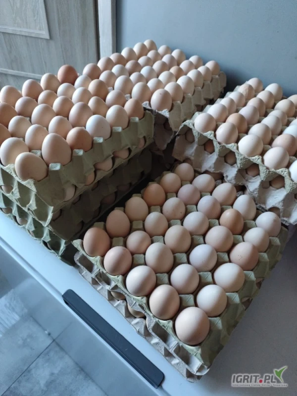 /images/posts/2025/05/2015407/MwLkAGKTibRwukeNCUbJlteRIA4NluovFStQaiiT.jpeg