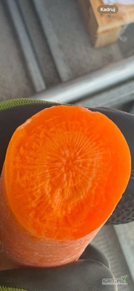 /images/posts/2025/05/2015456/WdNfBpDF06Z40ylMnYZJkeiAlKRyZ28JvYwiHvii.jpeg