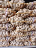 Sprzedam 200 worków ziemniaków Queen Anna 15 kg 14 zł 