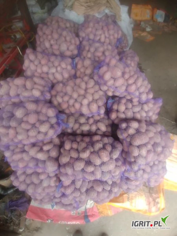 /images/posts/2021/03/1327773/7lk0argafcPMeJ8ObaKvXWx417c98ZWKfVmROSZn.jpeg