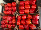 Producent sprzeda paprykę klasy 1 czerwona 
