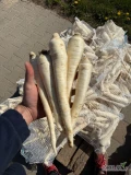 Witam, sprzedam pietruszkę myta z chłodni. Ilości paletowe 