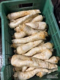 Sprzedam pietruszkę gróbą zdrowa opakowanie 10 kg